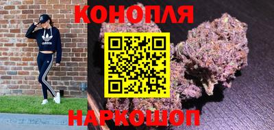 шишки Нальчик