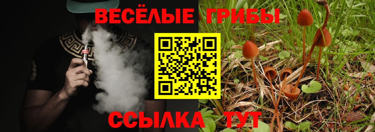 Рязань  Галлюциногенные грибы Magic Shrooms  Вход с VPN 